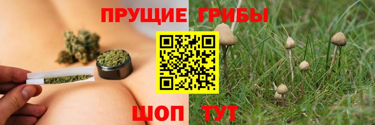 Псилоцибиновые грибы Cubensis  Псилоцибиновые грибы прущие грибы  Вход с VPN  Благодарный 